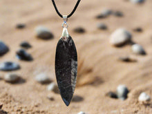 Load image into Gallery viewer, Orthoceras Fossil Necklace