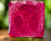 Load image into Gallery viewer, Loofah Soap Bars - Buy 3 and Get 1 Absolutely Free!