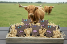 Load image into Gallery viewer, Highland Cow Soap - Hand Painted
