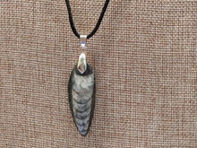 Load image into Gallery viewer, Orthoceras Fossil Necklace
