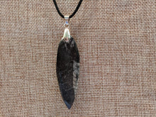 Load image into Gallery viewer, Orthoceras Fossil Necklace
