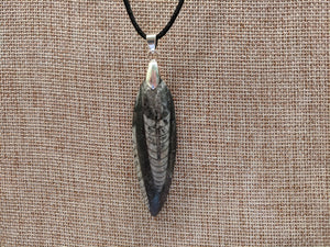 Orthoceras Fossil Necklace