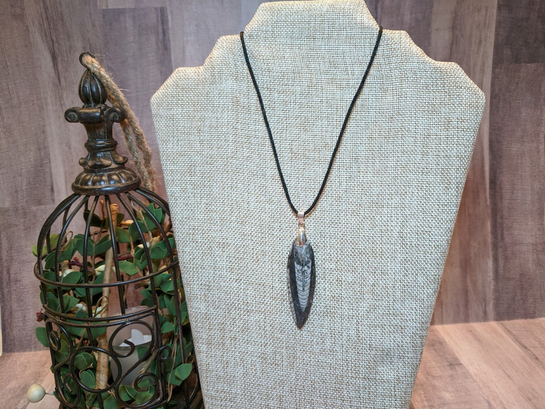 Orthoceras Fossil Necklace